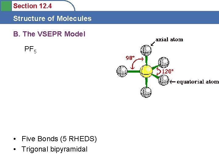 Section 12. 4 Structure of Molecules B. The VSEPR Model PF 5 • Five