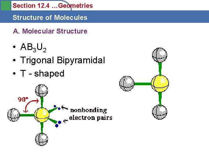 Section 12. 4 …Geometries Structure of Molecules A. Molecular Structure • AB 3 U