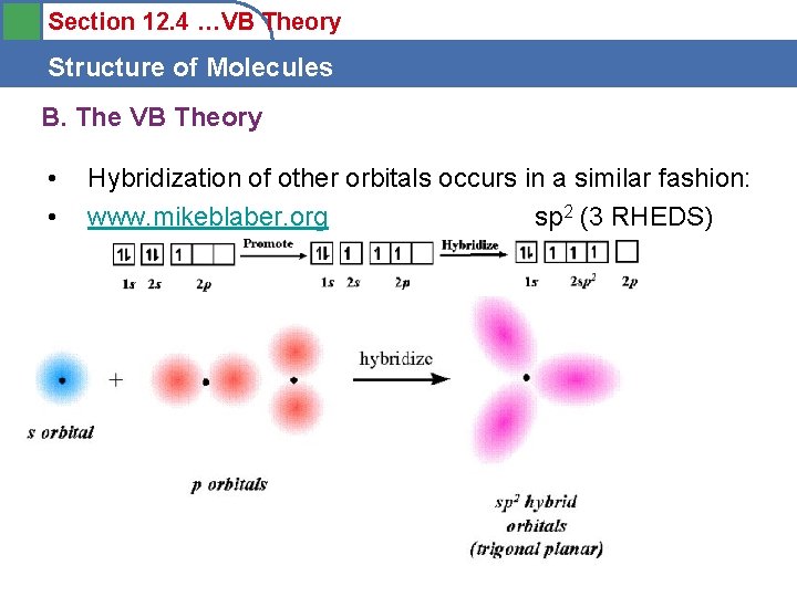 Section 12. 4 …VB Theory Structure of Molecules B. The VB Theory • •