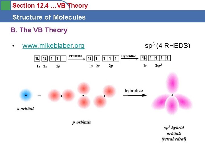 Section 12. 4 …VB Theory Structure of Molecules B. The VB Theory • www.