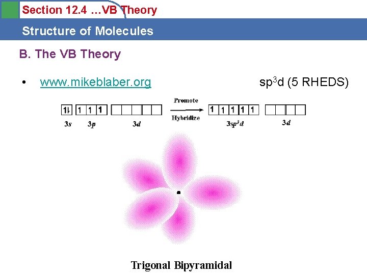 Section 12. 4 …VB Theory Structure of Molecules B. The VB Theory • www.