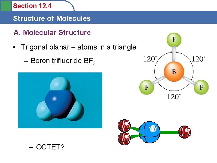 Section 12. 4 Structure of Molecules A. Molecular Structure • Trigonal planar – atoms