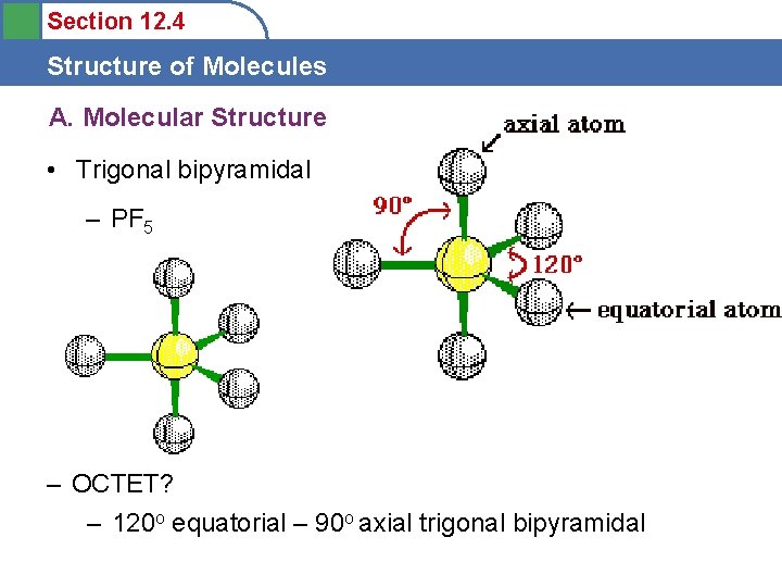 Section 12. 4 Structure of Molecules A. Molecular Structure • Trigonal bipyramidal – PF