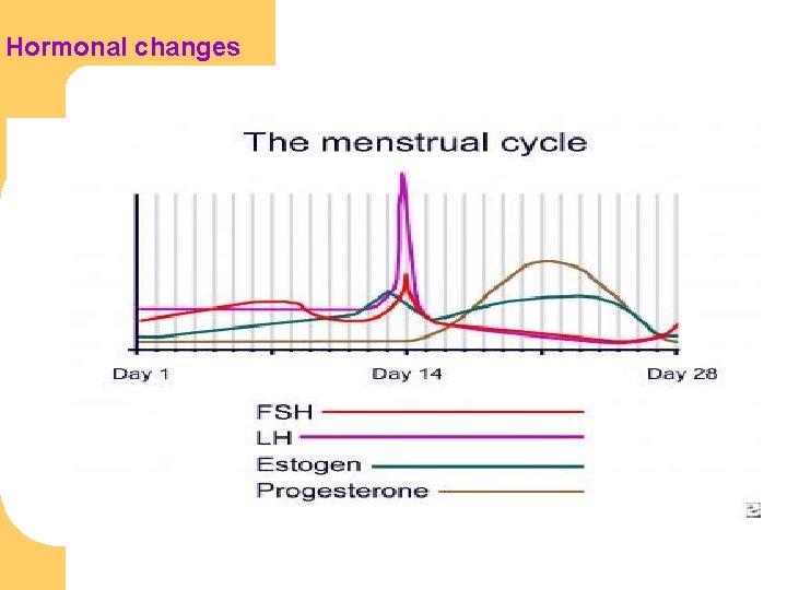 Hormonal changes 