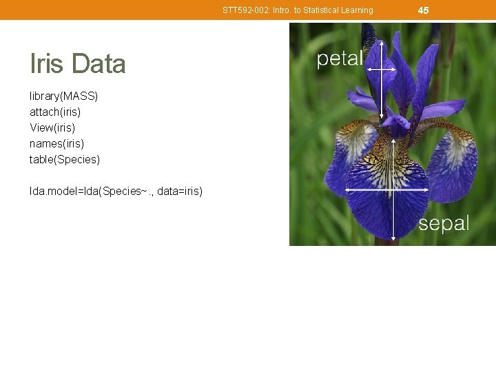 STT 592 -002: Intro. to Statistical Learning Iris Data library(MASS) attach(iris) View(iris) names(iris) table(Species)
