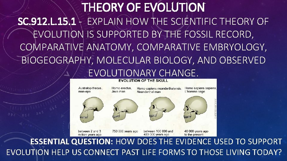 THEORY OF EVOLUTION SC. 912. L. 15. 1 - EXPLAIN HOW THE SCIENTIFIC THEORY