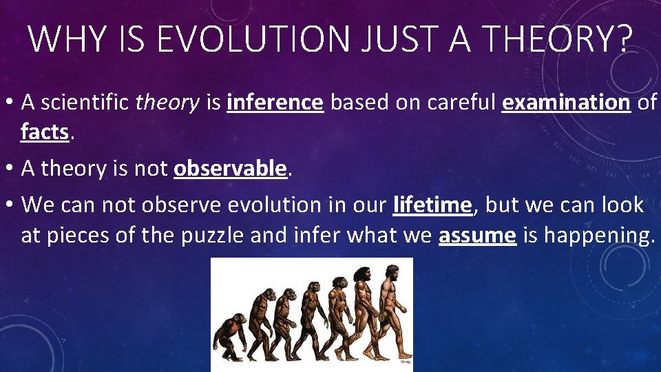 WHY IS EVOLUTION JUST A THEORY? • A scientific theory is inference based on