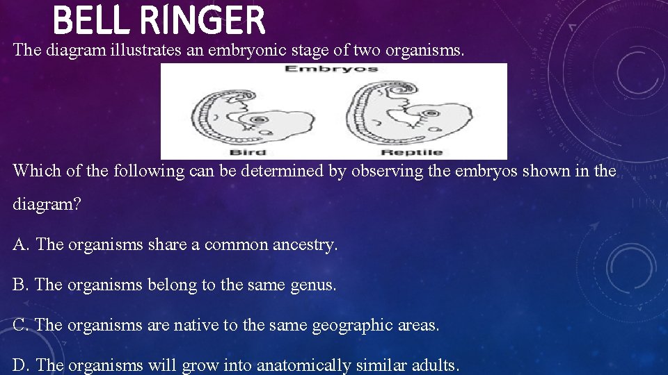 BELL RINGER The diagram illustrates an embryonic stage of two organisms. Which of the