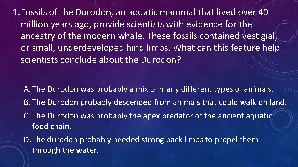1. Fossils of the Durodon, an aquatic mammal that lived over 40 million years