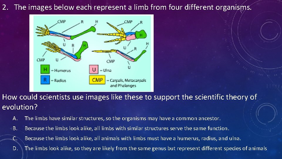 2. The images below each represent a limb from four different organisms. . How