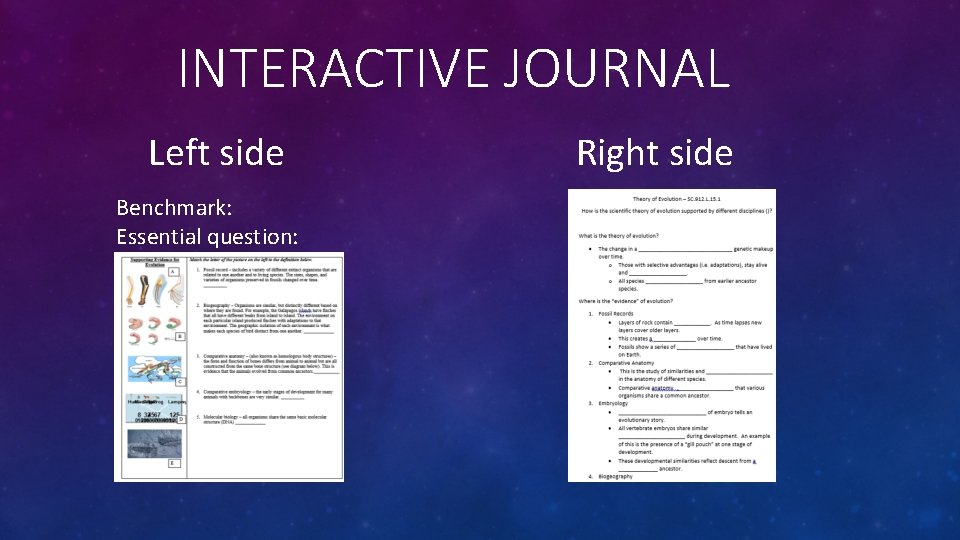 INTERACTIVE JOURNAL Left side Benchmark: Essential question: Right side 
