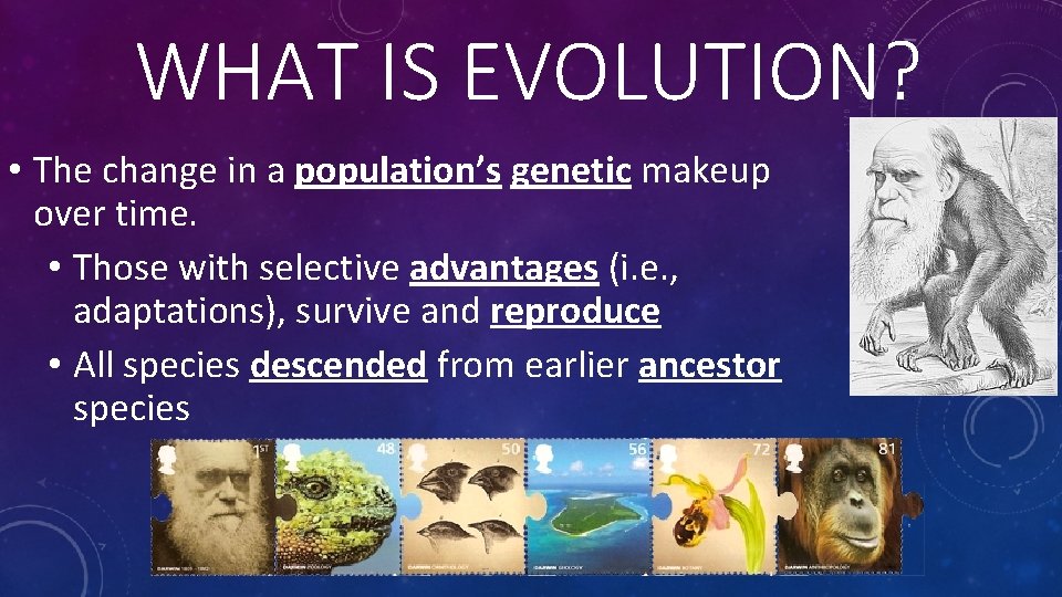 WHAT IS EVOLUTION? • The change in a population’s genetic makeup over time. •