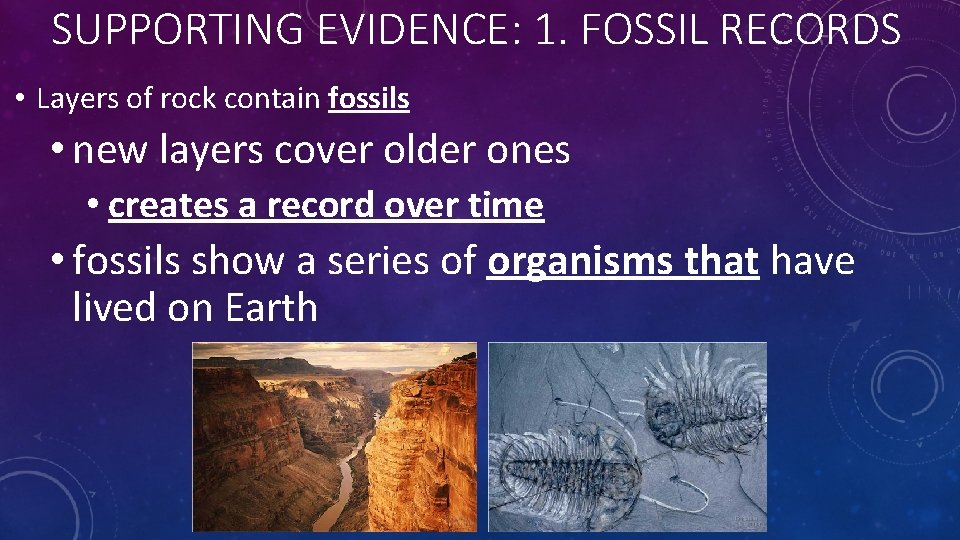 SUPPORTING EVIDENCE: 1. FOSSIL RECORDS • Layers of rock contain fossils • new layers