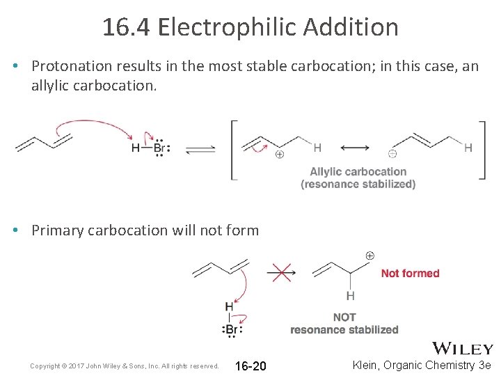 16. 4 Electrophilic Addition • Protonation results in the most stable carbocation; in this