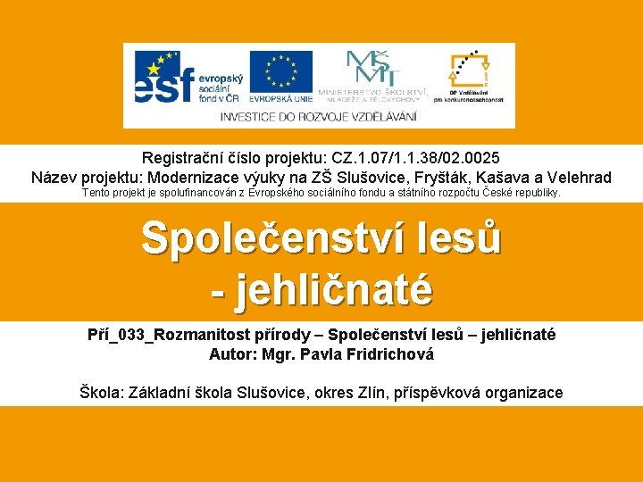 Registrační číslo projektu: CZ. 1. 07/1. 1. 38/02. 0025 Název projektu: Modernizace výuky na
