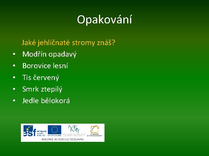 Opakování Jaké jehličnaté stromy znáš? • Modřín opadavý • Borovice lesní • Tis červený