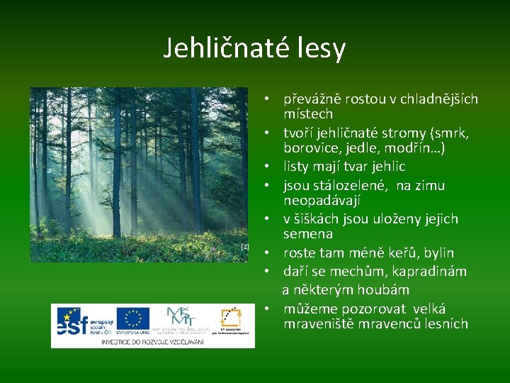 Jehličnaté lesy [2] • převážně rostou v chladnějších místech • tvoří jehličnaté stromy (smrk,