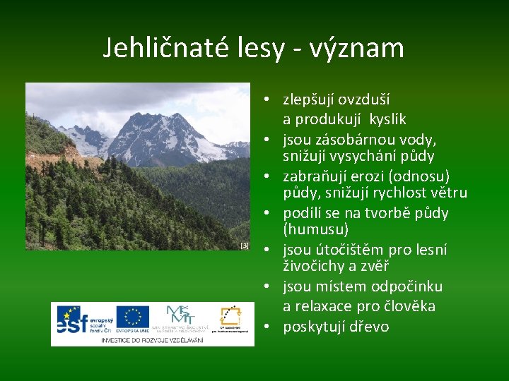 Jehličnaté lesy - význam [3] • zlepšují ovzduší a produkují kyslík • jsou zásobárnou