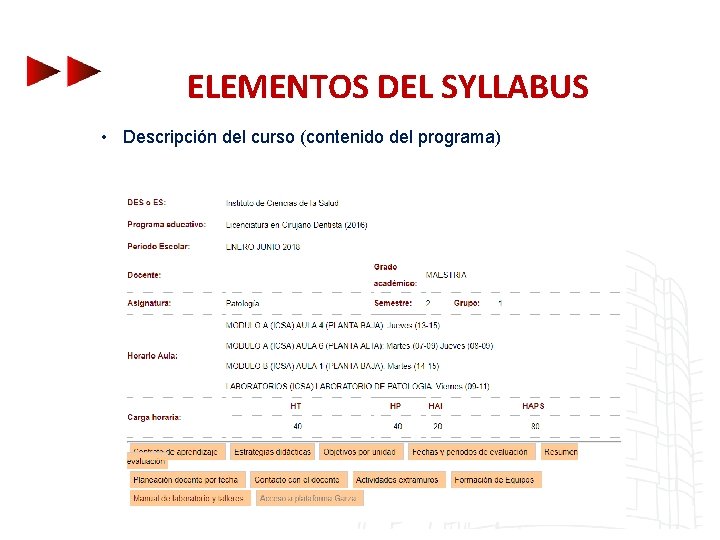 ELEMENTOS DEL SYLLABUS • Descripción del curso (contenido del programa) 