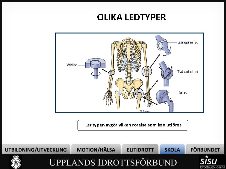 OLIKA LEDTYPER Ledtypen avgör vilken rörelse som kan utföras 