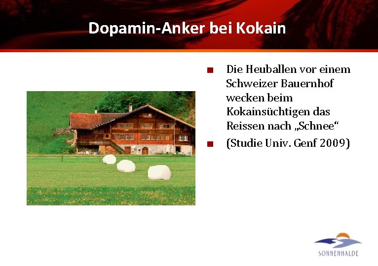 Dopamin-Anker bei Kokain Die Heuballen vor einem Schweizer Bauernhof wecken beim Kokainsüchtigen das Reissen