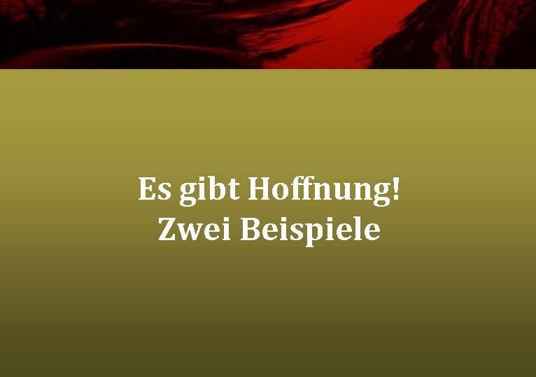 Es gibt Hoffnung! Zwei Beispiele 