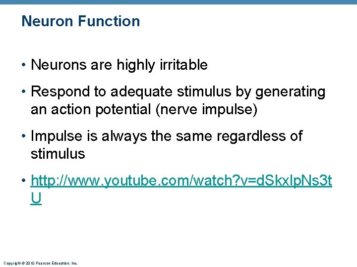 Neuron Function • Neurons are highly irritable • Respond to adequate stimulus by generating