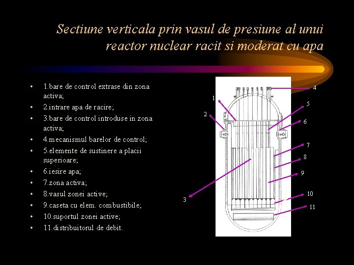 Sectiune verticala prin vasul de presiune al unui reactor nuclear racit si moderat cu