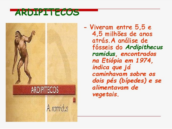 ARDIPITECOS - Viveram entre 5, 5 e 4, 5 milhões de anos atrás. A