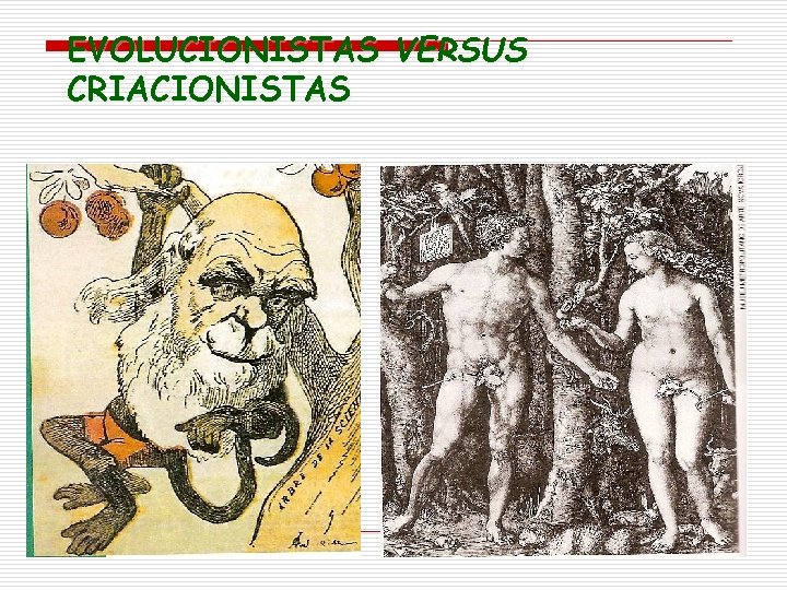 EVOLUCIONISTAS VERSUS CRIACIONISTAS 