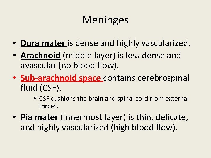 Meninges • Dura mater is dense and highly vascularized. • Arachnoid (middle layer) is