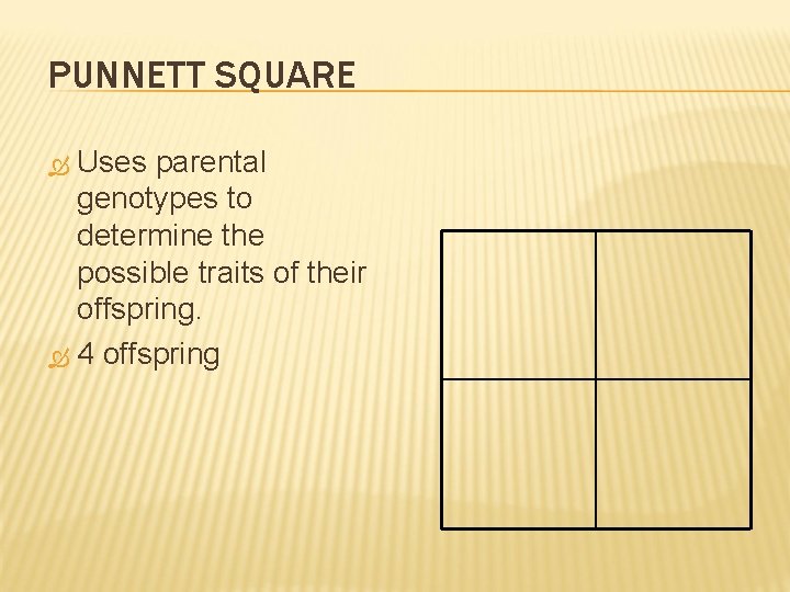 PUNNETT SQUARE Uses parental genotypes to determine the possible traits of their offspring. 4