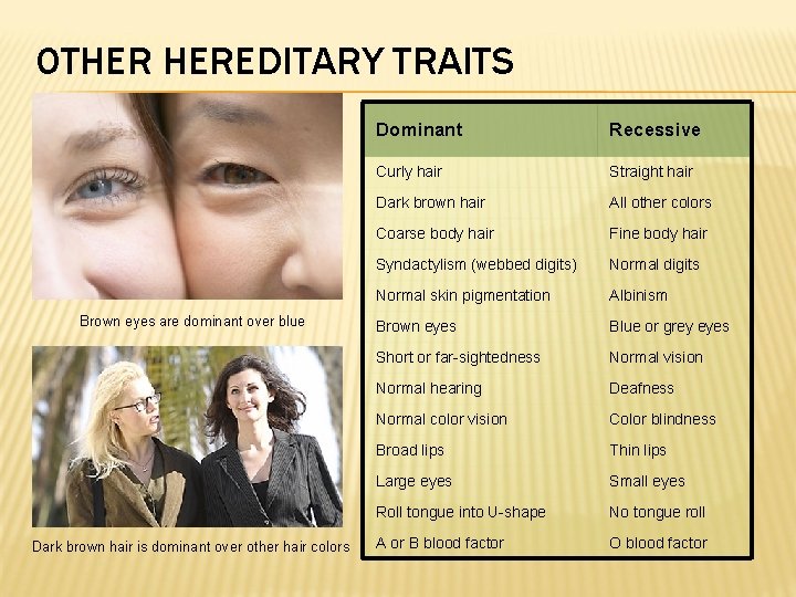 OTHER HEREDITARY TRAITS Brown eyes are dominant over blue Dark brown hair is dominant