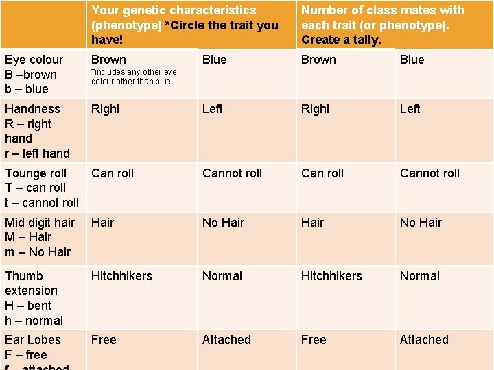 Your genetic characteristics (phenotype) *Circle the trait you have! Number of class mates with