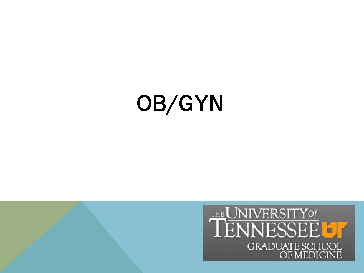 OB/GYN OB/GYN