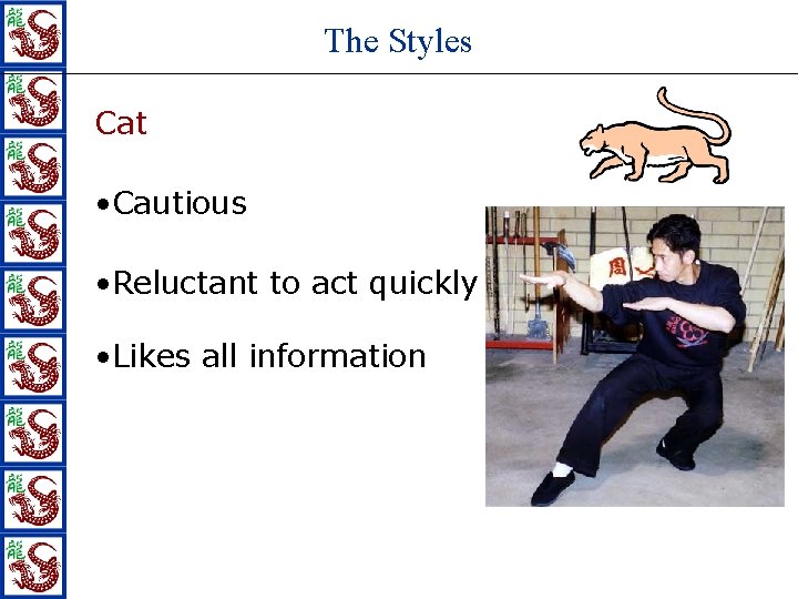 The Styles Cat • Cautious • Reluctant to act quickly • Likes all information