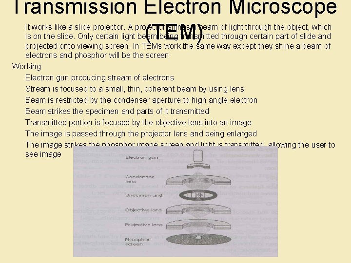 Transmission Electron Microscope (TEM) It works like a slide projector. A projector shines a
