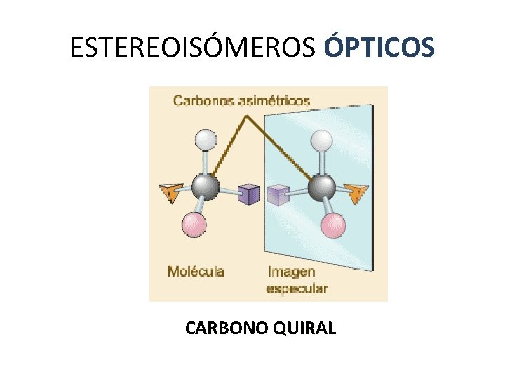 ESTEREOISÓMEROS ÓPTICOS CARBONO QUIRAL ESTEREOISÓMEROS ÓPTICOS CARBONO QUIRAL