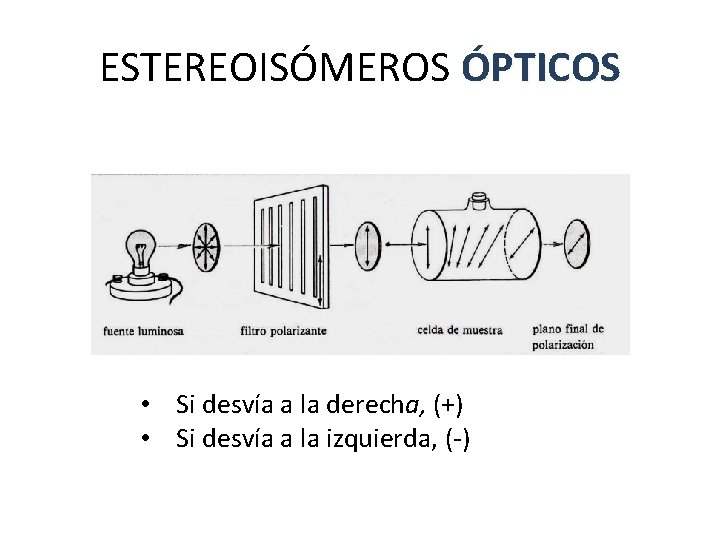 ESTEREOISÓMEROS ÓPTICOS • Si desvía a la derecha, (+) • Si desvía a la ESTEREOISÓMEROS ÓPTICOS • Si desvía a la derecha, (+) • Si desvía a la