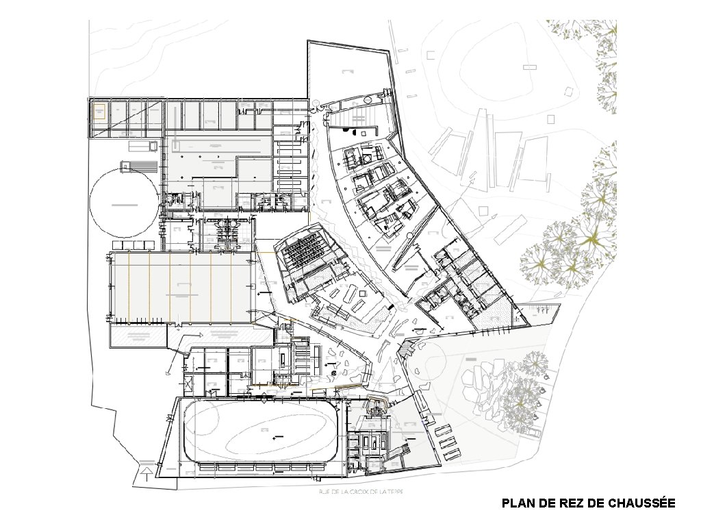 PLAN DE REZ DE CHAUSSÉE 