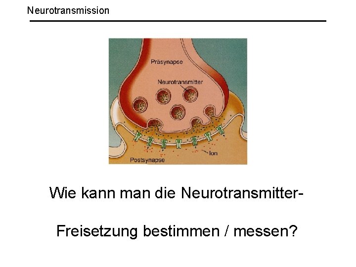 Neurotransmission Wie kann man die Neurotransmitter. Freisetzung bestimmen / messen? 