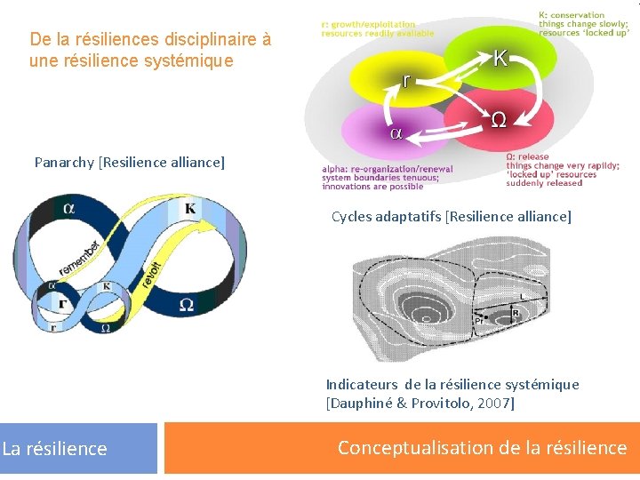 De la résiliences disciplinaire à une résilience systémique Panarchy [Resilience alliance] Cycles adaptatifs [Resilience