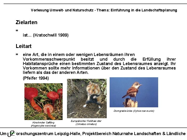 Vorlesung Umwelt- und Naturschutz - Thema: Einführung in die Landschaftsplanung Zielarten = ist… (Kratochwill