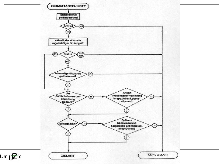 Vorlesung Umwelt- und Naturschutz - Thema: Einführung in die Landschaftsplanung Umweltforschungszentrum Leipzig-Halle, Projektbereich Naturnahe