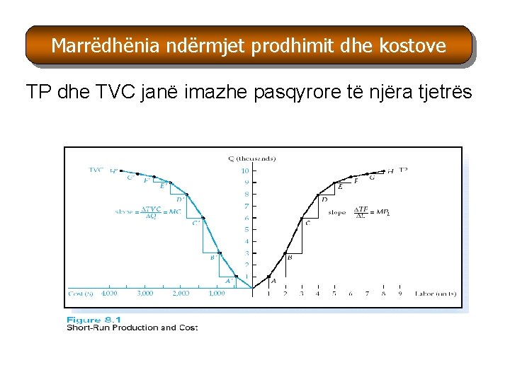Marrëdhënia ndërmjet prodhimit dhe kostove Marr TP dhe TVC janë imazhe pasqyrore të njëra Marrëdhënia ndërmjet prodhimit dhe kostove Marr TP dhe TVC janë imazhe pasqyrore të njëra