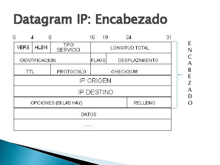 Datagram IP: Encabezado E N C A B E Z A D O Datagram IP: Encabezado E N C A B E Z A D O
