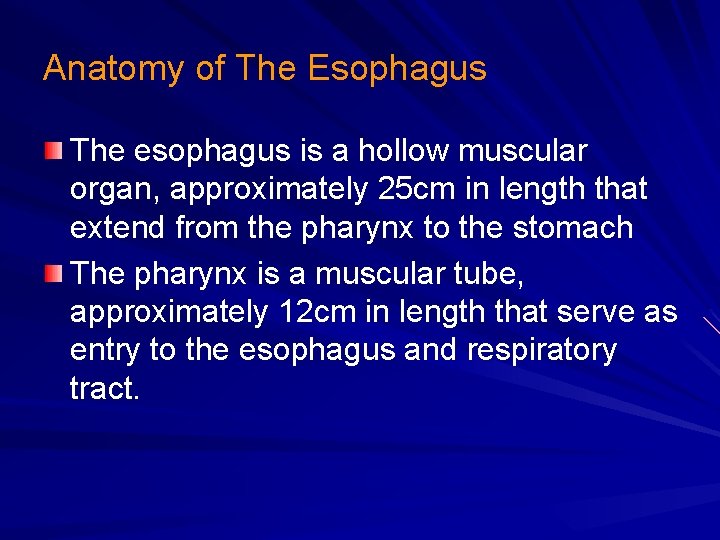 Anatomy of The Esophagus The esophagus is a hollow muscular organ, approximately 25 cm