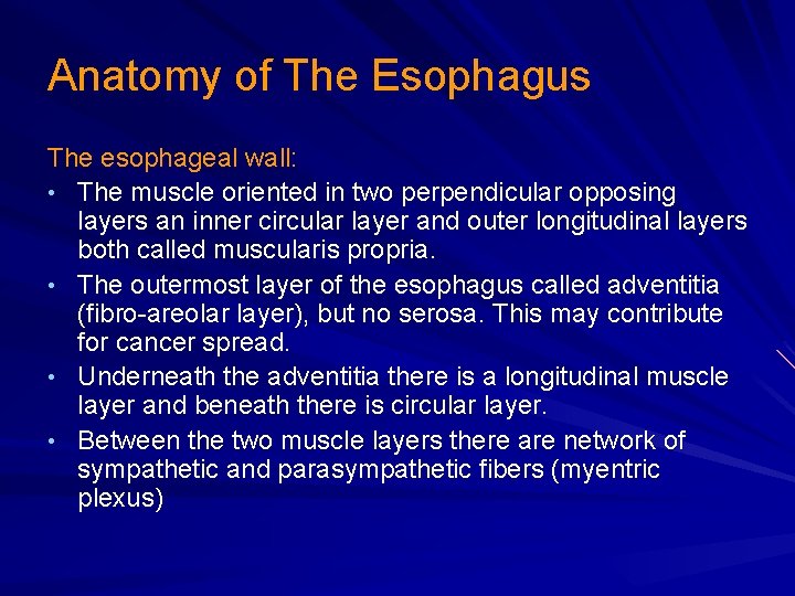 Anatomy of The Esophagus The esophageal wall: • The muscle oriented in two perpendicular