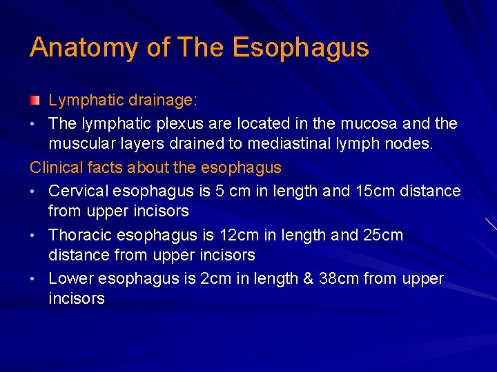 Anatomy of The Esophagus Lymphatic drainage: • The lymphatic plexus are located in the