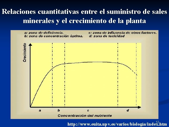 Relaciones cuantitativas entre el suministro de sales minerales y el crecimiento de la planta